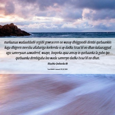 Picture 06 - Taariikhdii Labaad 29:24 SOM - markaasaa wadaaddadii orgidii gowraceen oo waxay - Bible Verse Picture