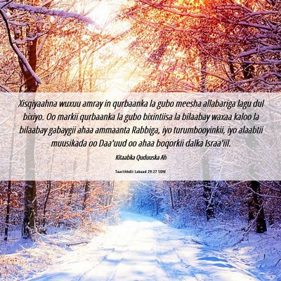 Picture 06 - Taariikhdii Labaad 29:27 SOM - Xisqiyaahna wuxuu amray in qurbaanka la gubo - Bible Verse Picture