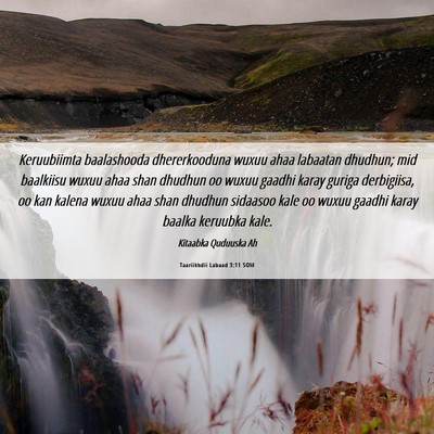 Picture 06 - Taariikhdii Labaad 3:11 SOM - Keruubiimta baalashooda dhererkooduna wuxuu ahaa - Bible Verse Picture