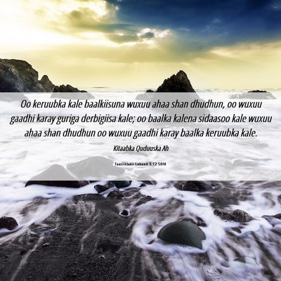 Picture 06 - Taariikhdii Labaad 3:12 SOM - Oo keruubka kale baalkiisuna wuxuu ahaa shan - Bible Verse Picture