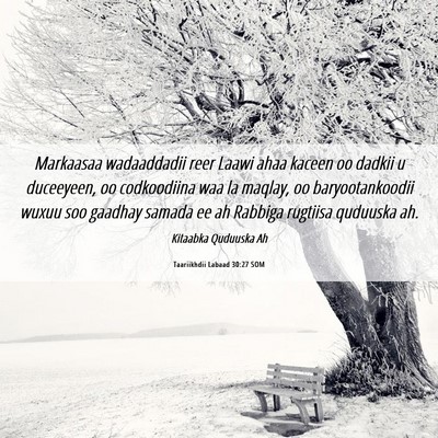 Picture 06 - Taariikhdii Labaad 30:27 SOM - Markaasaa wadaaddadii reer Laawi ahaa kaceen oo - Bible Verse Picture