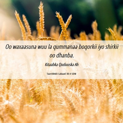 Picture 06 - Taariikhdii Labaad 30:4 SOM - Oo waxaasuna wuu la qummanaa boqorkii iyo shirkii - Bible Verse Picture