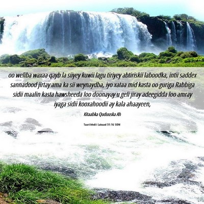 Picture 06 - Taariikhdii Labaad 31:16 SOM - oo weliba waxaa qayb la siiyey kuwii lagu tiriyey - Bible Verse Picture