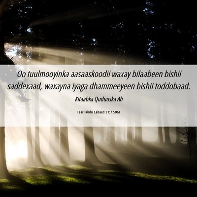Picture 06 - Taariikhdii Labaad 31:7 SOM - Oo tuulmooyinka aasaaskoodii waxay bilaabeen - Bible Verse Picture