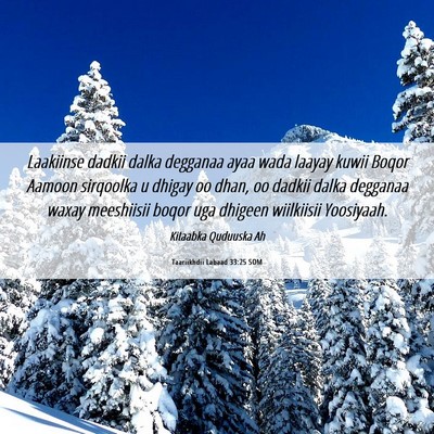 Picture 06 - Taariikhdii Labaad 33:25 SOM - Laakiinse dadkii dalka degganaa ayaa wada laayay - Bible Verse Picture