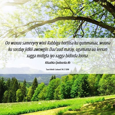 Picture 06 - Taariikhdii Labaad 34:2 SOM - Oo wuxuu sameeyey wixii Rabbiga hortiisa ku - Bible Verse Picture