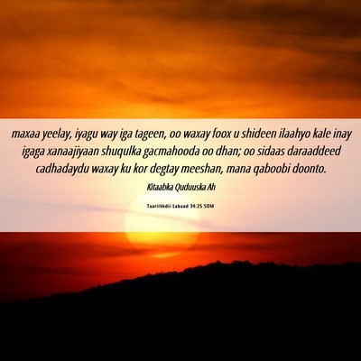 Picture 06 - Taariikhdii Labaad 34:25 SOM - maxaa yeelay, iyagu way iga tageen, oo waxay foox - Bible Verse Picture
