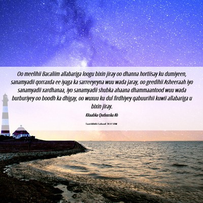 Picture 06 - Taariikhdii Labaad 34:4 SOM - Oo meelihii Bacaliim allabariga loogu bixin jiray - Bible Verse Picture