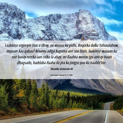 Picture 06 - Taariikhdii Labaad 35:21 SOM - Laakiinse ergooyin buu u diray, oo wuxuu ku - Bible Verse Picture