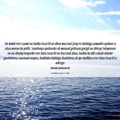Picture 06 - Taariikhdii Labaad 35:3 SOM - Oo kuwii reer Laawi oo dadka Israa'iil oo dhan - Bible Verse Picture