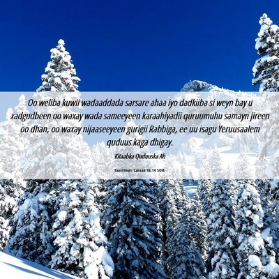 Picture 06 - Taariikhdii Labaad 36:14 SOM - Oo weliba kuwii wadaaddada sarsare ahaa iyo - Bible Verse Picture