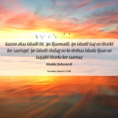 Picture 06 - Taariikhdii Labaad 4:12 SOM - kaasoo ahaa labadii tiir, iyo fijaannadii, iyo - Bible Verse Picture