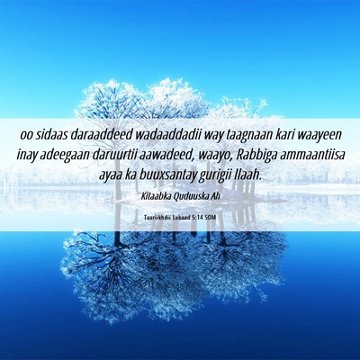 Picture 06 - Taariikhdii Labaad 5:14 SOM - oo sidaas daraaddeed wadaaddadii way taagnaan - Bible Verse Picture