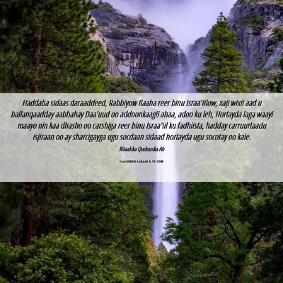 Picture 06 - Taariikhdii Labaad 6:16 SOM - Haddaba sidaas daraaddeed, Rabbiyow Ilaaha reer - Bible Verse Picture