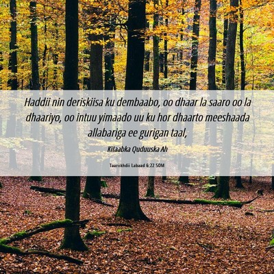 Picture 06 - Taariikhdii Labaad 6:22 SOM - Haddii nin deriskiisa ku dembaabo, oo dhaar la - Bible Verse Picture