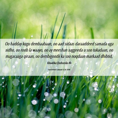 Picture 06 - Taariikhdii Labaad 6:26 SOM - Oo hadday kugu dembaabaan, oo aad sidaas - Bible Verse Picture