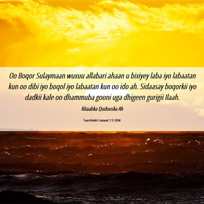 Picture 06 - Taariikhdii Labaad 7:5 SOM - Oo Boqor Sulaymaan wuxuu allabari ahaan u bixiyey - Bible Verse Picture