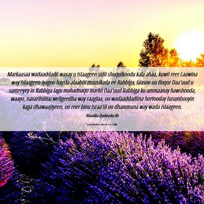 Picture 06 - Taariikhdii Labaad 7:6 SOM - Markaasaa wadaaddadii waxay u istaageen sidii - Bible Verse Picture