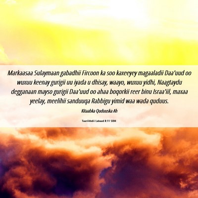 Picture 06 - Taariikhdii Labaad 8:11 SOM - Markaasaa Sulaymaan gabadhii Fircoon ka soo - Bible Verse Picture