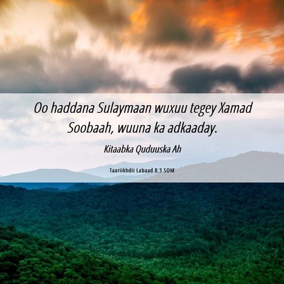 Picture 06 - Taariikhdii Labaad 8:3 SOM - Oo haddana Sulaymaan wuxuu tegey Xamad Soobaah, - Bible Verse Picture