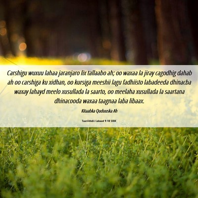 Picture 06 - Taariikhdii Labaad 9:18 SOM - Carshigu wuxuu lahaa jaranjaro lix tallaabo ah; - Bible Verse Picture