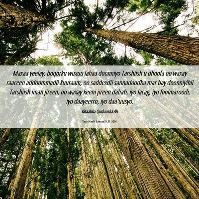 Picture 06 - Taariikhdii Labaad 9:21 SOM - Maxaa yeelay, boqorku wuxuu lahaa doonniyo - Bible Verse Picture