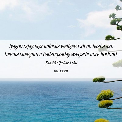Picture 06 - Tiitos 1:2 SOM - iyagoo rajaynaya nolosha weligeed ah oo Ilaaha - Bible Verse Picture