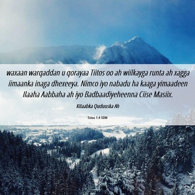 Picture 06 - Tiitos 1:4 SOM - waxaan warqaddan u qorayaa Tiitos oo ah wiilkayga - Bible Verse Picture