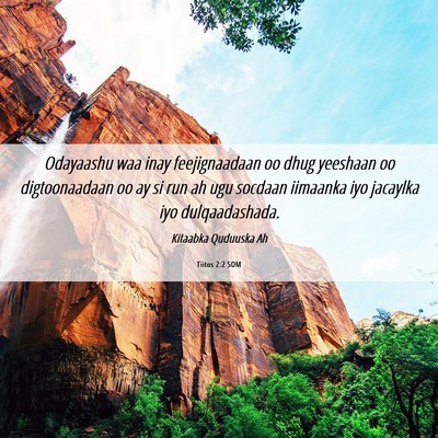 Picture 06 - Tiitos 2:2 SOM - Odayaashu waa inay feejignaadaan oo dhug yeeshaan - Bible Verse Picture