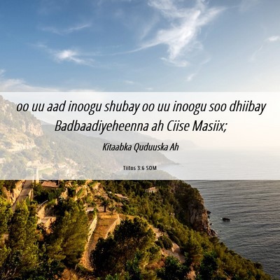Picture 06 - Tiitos 3:6 SOM - oo uu aad inoogu shubay oo uu inoogu soo dhiibay - Bible Verse Picture