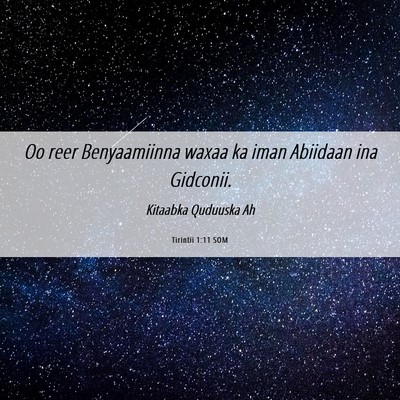 Picture 06 - Tirintii 1:11 SOM - Oo reer Benyaamiinna waxaa ka iman Abiidaan ina - Bible Verse Picture