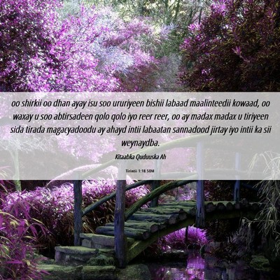 Picture 06 - Tirintii 1:18 SOM - oo shirkii oo dhan ayay isu soo ururiyeen bishii - Bible Verse Picture