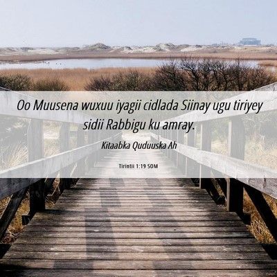 Picture 06 - Tirintii 1:19 SOM - Oo Muusena wuxuu iyagii cidlada Siinay ugu - Bible Verse Picture