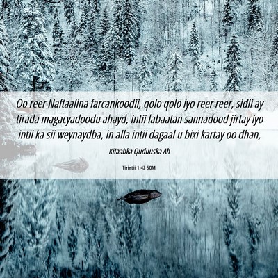 Picture 06 - Tirintii 1:42 SOM - Oo reer Naftaalina farcankoodii, qolo qolo iyo - Bible Verse Picture