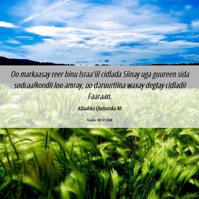 Picture 06 - Tirintii 10:12 SOM - Oo markaasay reer binu Israa'iil cidlada Siinay - Bible Verse Picture