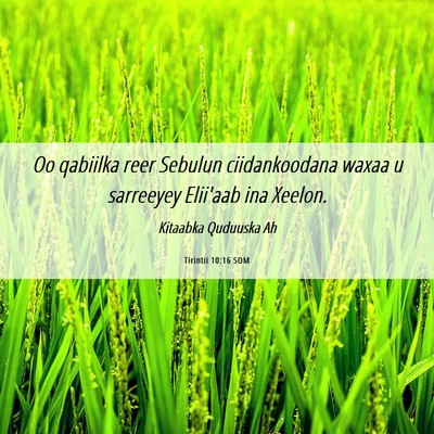 Picture 06 - Tirintii 10:16 SOM - Oo qabiilka reer Sebulun ciidankoodana waxaa u - Bible Verse Picture