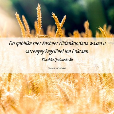 Picture 06 - Tirintii 10:26 SOM - Oo qabiilka reer Aasheer ciidankoodana waxaa u - Bible Verse Picture