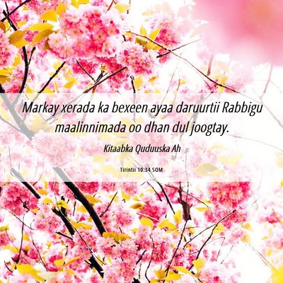 Picture 06 - Tirintii 10:34 SOM - Markay xerada ka bexeen ayaa daruurtii Rabbigu - Bible Verse Picture