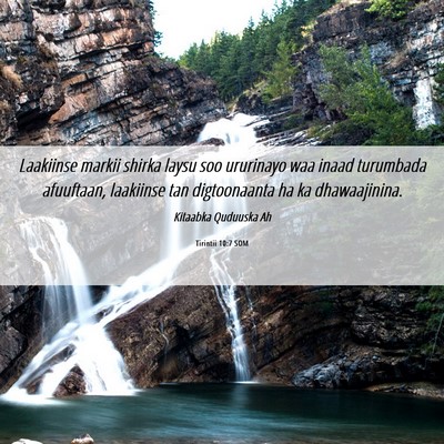 Picture 06 - Tirintii 10:7 SOM - Laakiinse markii shirka laysu soo ururinayo waa - Bible Verse Picture