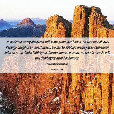 Picture 06 - Tirintii 11:1 SOM - Oo dadkuna waxay ahaayeen sidii kuwo gunuunac - Bible Verse Picture