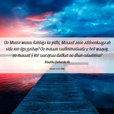 Picture 06 - Tirintii 11:11 SOM - Oo Muuse wuxuu Rabbiga ku yidhi, Maxaad anoo - Bible Verse Picture
