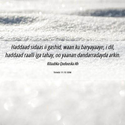 Picture 06 - Tirintii 11:15 SOM - Haddaad sidaas ii gashid, waan ku baryayaaye, i - Bible Verse Picture