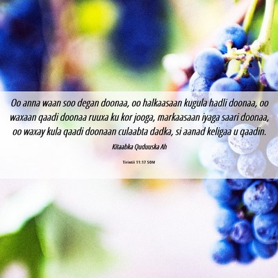 Picture 06 - Tirintii 11:17 SOM - Oo anna waan soo degan doonaa, oo halkaasaan - Bible Verse Picture