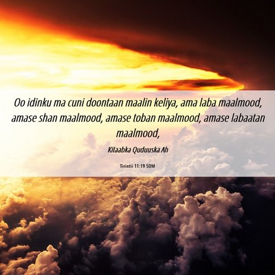 Picture 06 - Tirintii 11:19 SOM - Oo idinku ma cuni doontaan maalin keliya, ama - Bible Verse Picture