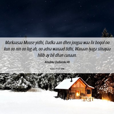 Picture 06 - Tirintii 11:21 SOM - Markaasaa Muuse yidhi, Dadka aan dhex joogaa waa - Bible Verse Picture