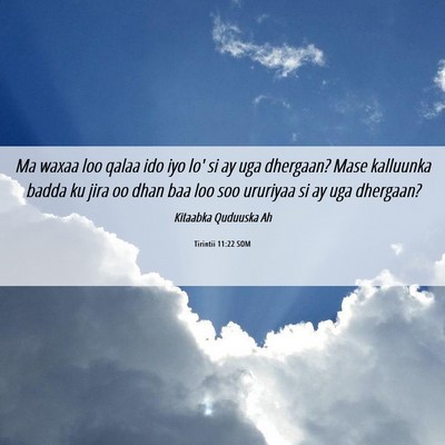 Picture 06 - Tirintii 11:22 SOM - Ma waxaa loo qalaa ido iyo lo' si ay uga - Bible Verse Picture