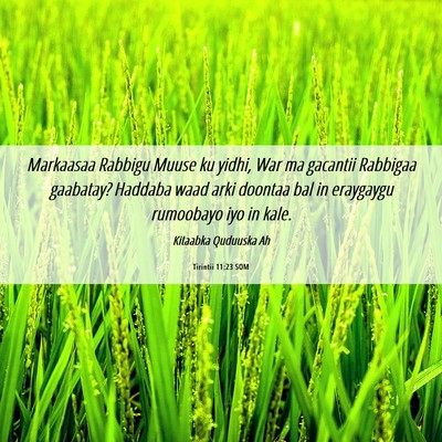 Picture 06 - Tirintii 11:23 SOM - Markaasaa Rabbigu Muuse ku yidhi, War ma gacantii - Bible Verse Picture