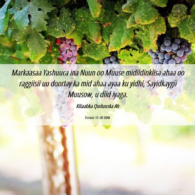 Picture 06 - Tirintii 11:28 SOM - Markaasaa Yashuuca ina Nuun oo Muuse - Bible Verse Picture