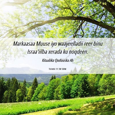 Picture 06 - Tirintii 11:30 SOM - Markaasaa Muuse iyo waayeelladii reer binu - Bible Verse Picture