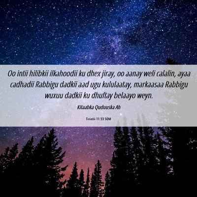 Picture 06 - Tirintii 11:33 SOM - Oo intii hilibkii ilkahoodii ku dhex jiray, oo - Bible Verse Picture